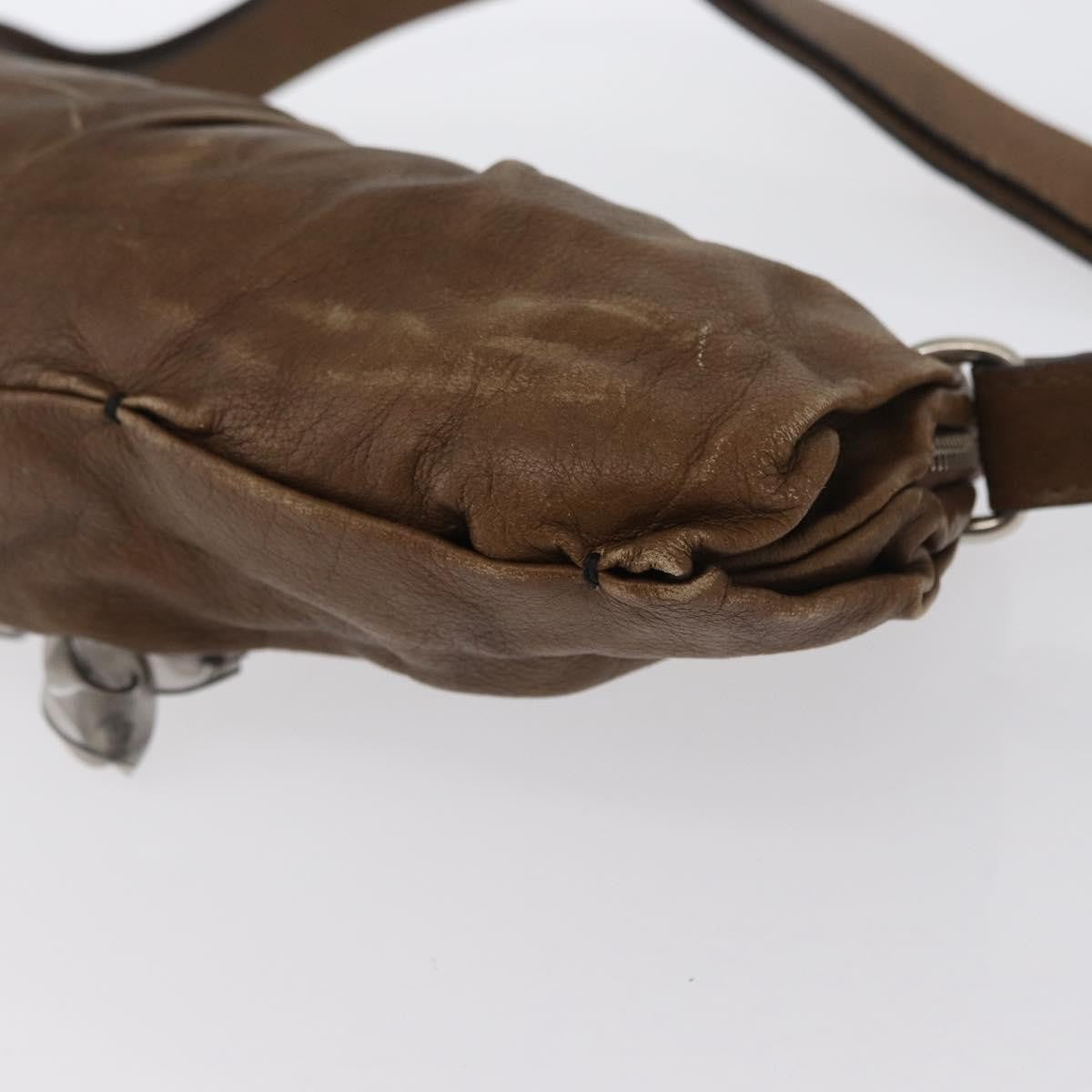 Chloé Chloé Chloe Shoulder Bag Leather Brown Silver Authentic 172747