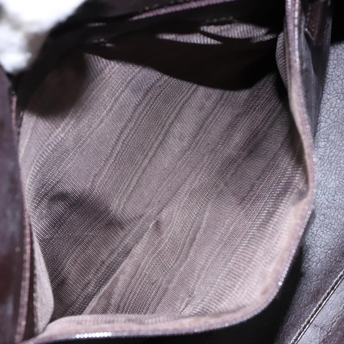 Gucci GUCCI Shoulder Bag Nylon Brown Silver 001 3017 Authentic 135184