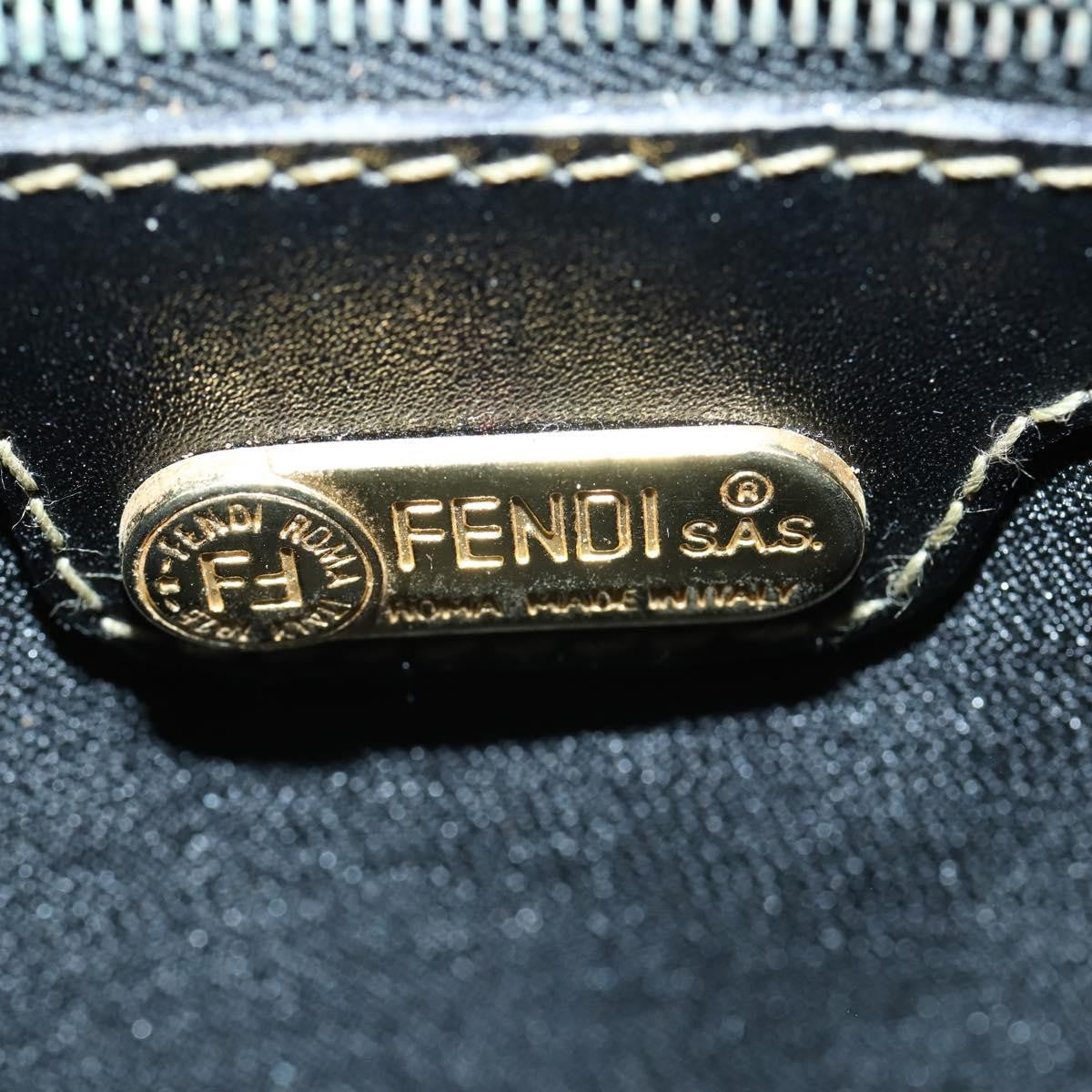 Fendi FENDI Pecan Canvas Hand Bag 2way Black Brown Authentic mr1555