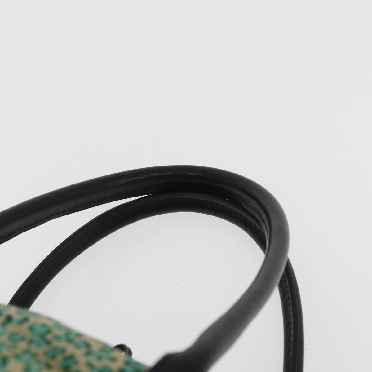 BOTTEGAVENETA BOTTEGAVENETA BOTTEGA VENETA Hand Bag Nylon Leather Green Authentic 171524