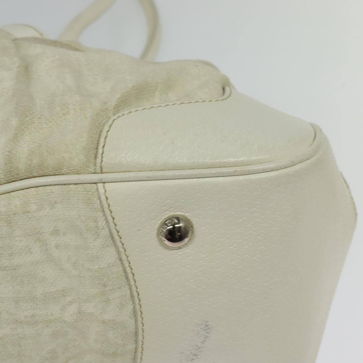 Prada PRADA Shoulder Bag Canvas Silver White Authentic fm4672