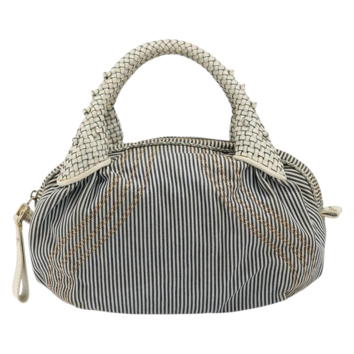 Fendi FENDI Spy Hand Bag Canvas Navy Gold Authentic bs35147A