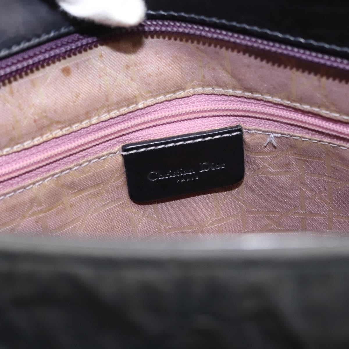 Dior Christian Dior Canage Shoulder Bag Nylon Black Silver Authentic 144646