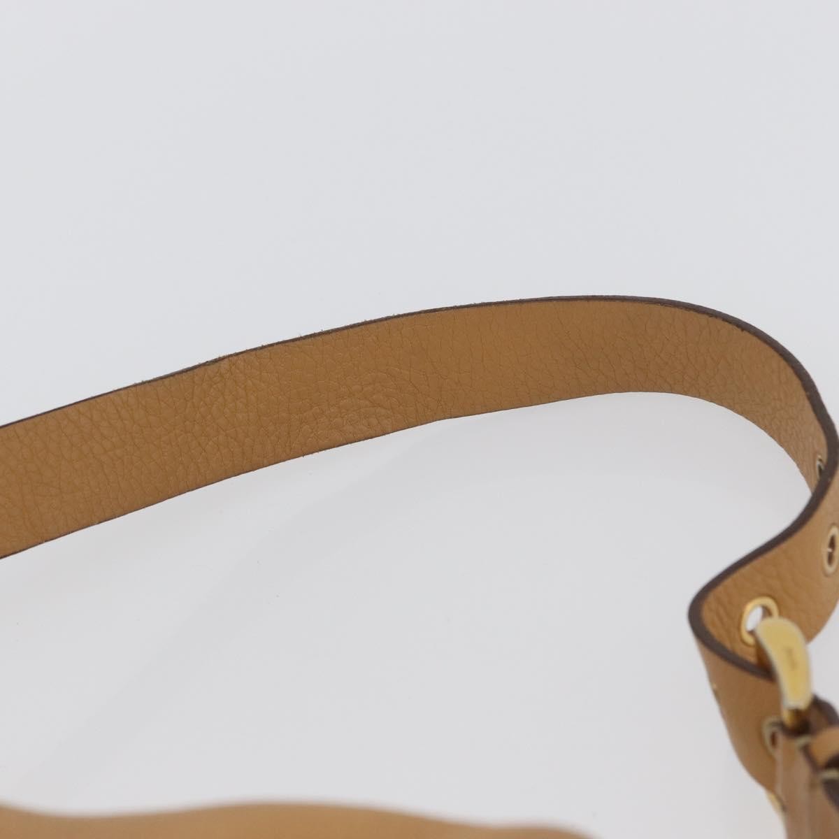 Prada PRADA Shoulder Bag Leather Brown Gold Authentic 172272