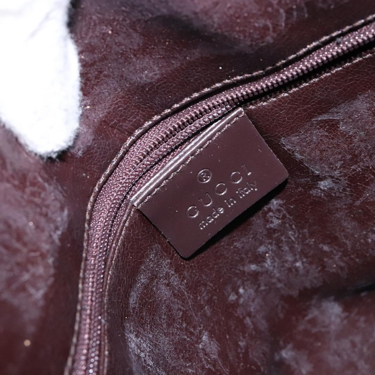 Gucci GUCCI Shoulder Bag Nylon Brown Silver 001 3017 Authentic 135184