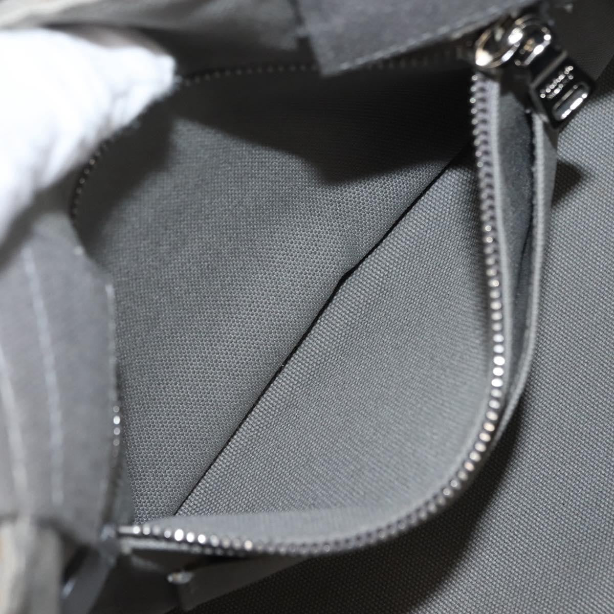 Prada PRADA Canapa MM Hand Bag Canvas Gray Silver Authentic hk3116