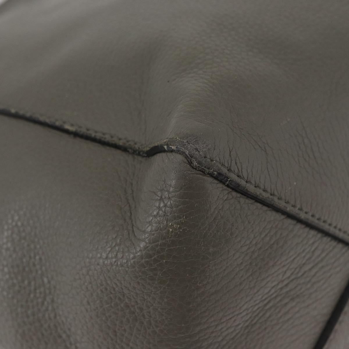 Celine CELINE Cabas Phantom Tote Bag Leather Gray Silver Authentic hk3679