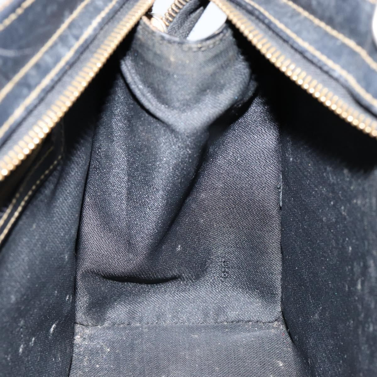 Fendi FENDI Pecan Canvas Hand Bag PVC Black Brown gold Authentic 150002