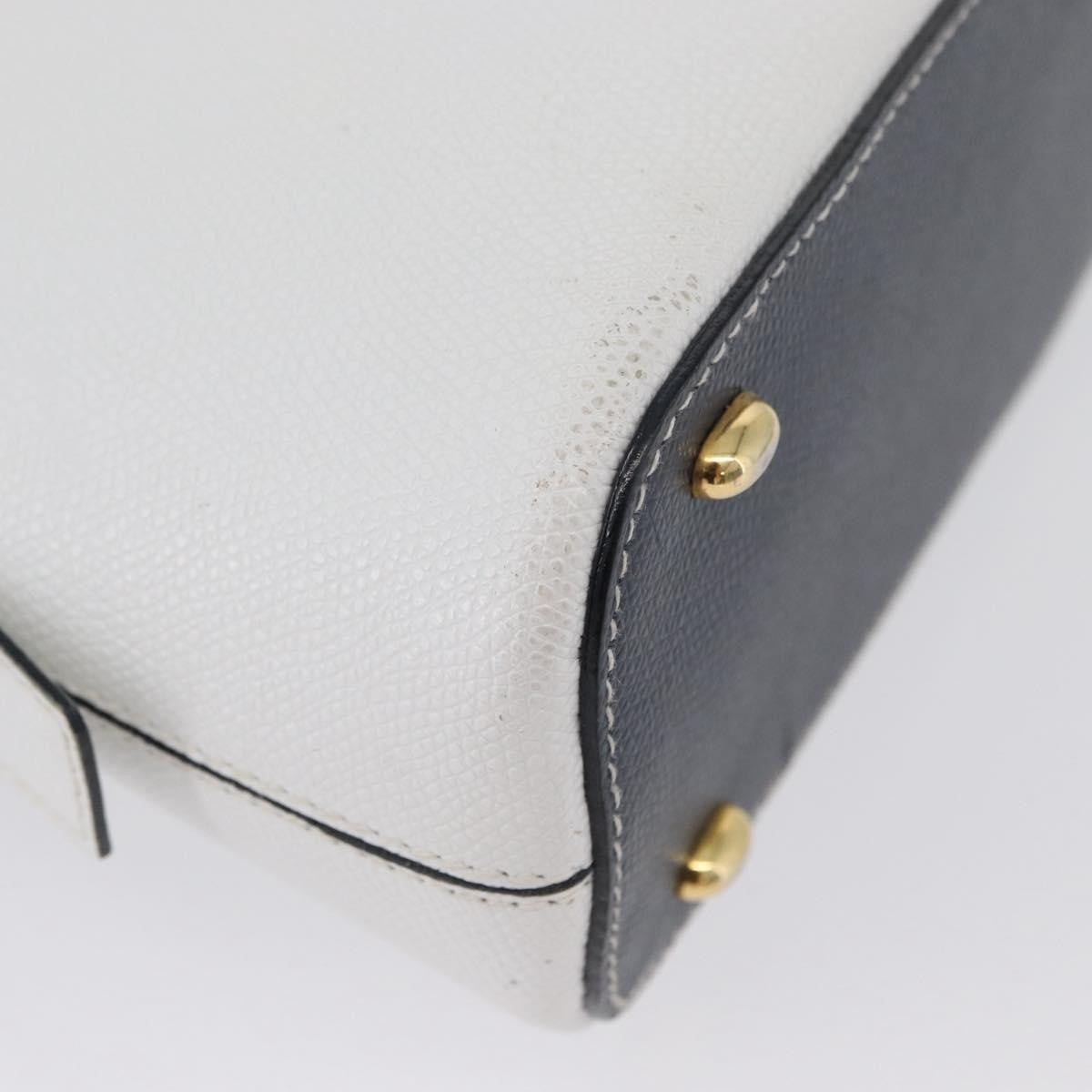 Celine CELINE Hand Bag Leather 2way White Gold Authentic BA10567