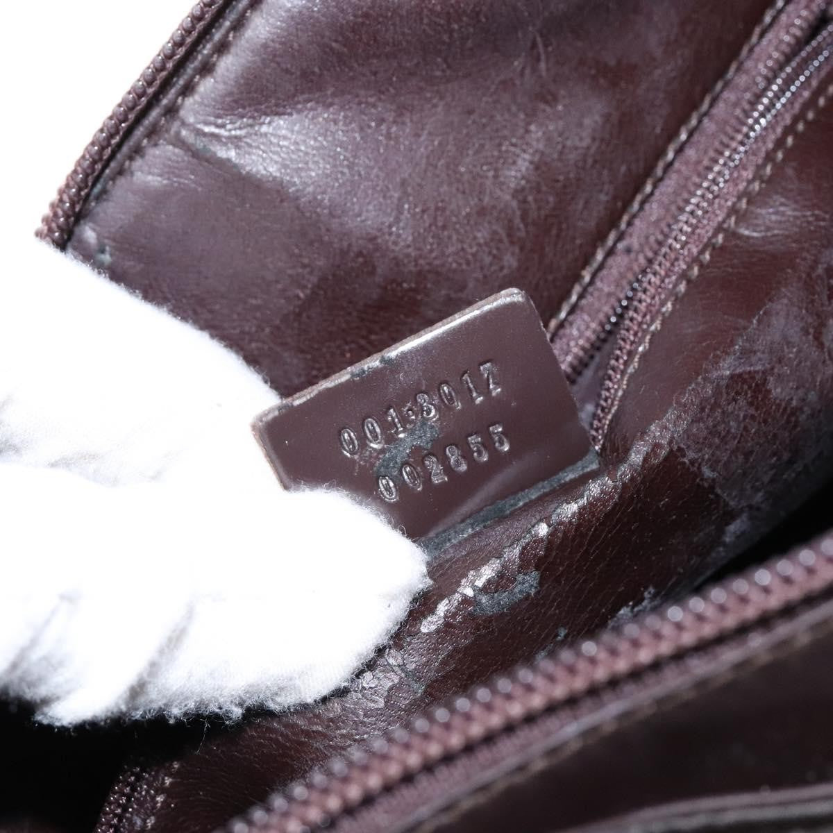 Gucci GUCCI Shoulder Bag Nylon Brown Silver 001 3017 Authentic 135184